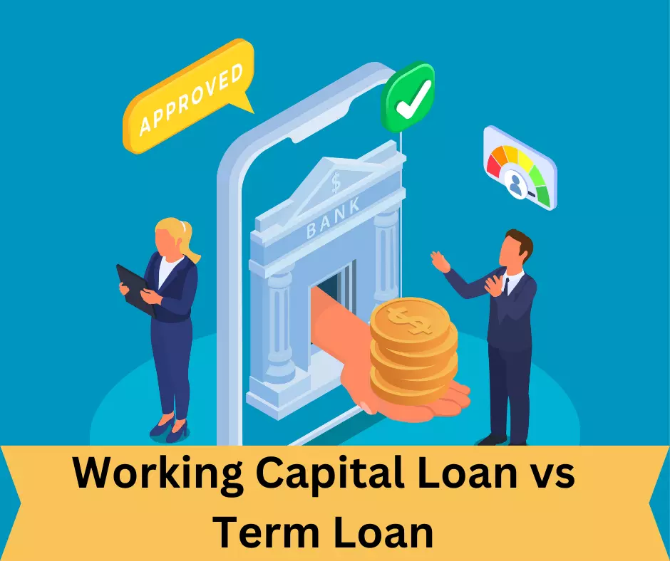 Working Capital Loan vs Term Loan Insights: Decoding Financial Strategies